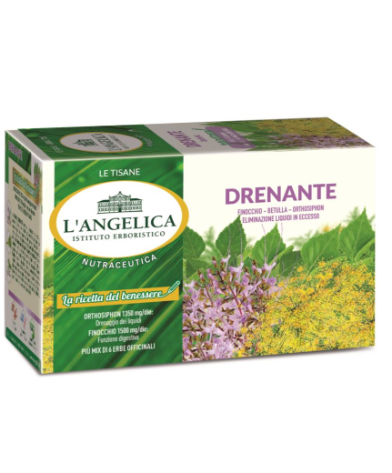 Tisane in filtri drenante pz x ct 10 L'ANGELICA