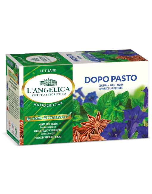 Tisane in filtri dopo pasto pz x ct 10 L'ANGELICA